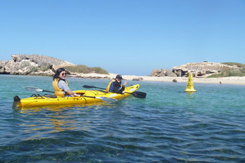 Seal Island And Penguin Island Or Point Peron Sea Kayak Tour - Tourism Guide 3