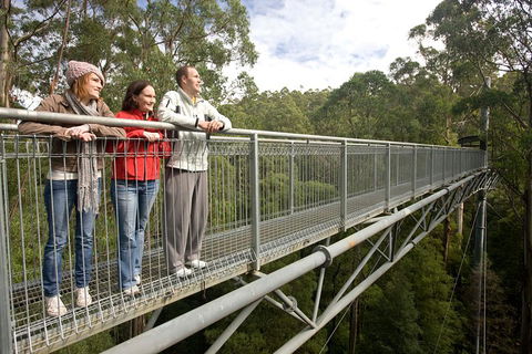 Adventure Sunset Three Day Great Ocean Road Tour - Tourism Guide 0