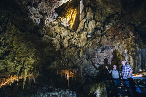 Ngilgi Cave Semi-guided Tour - Tourism Guide 0