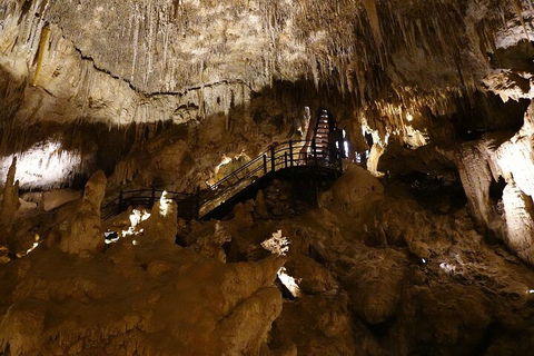 Ngilgi Cave Semi-guided Tour - Tourism Guide 2