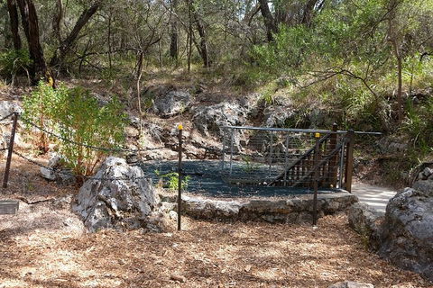 Ngilgi Cave Semi-guided Tour - Tourism Guide 4