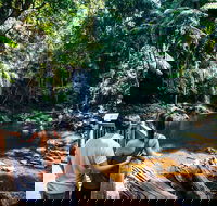 Aquaduck  Your choice of Gold Coast Rainforest Tour - Tourism Guide