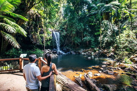 Aquaduck & Your Choice Of Gold Coast Rainforest Tour - Tourism Guide 0