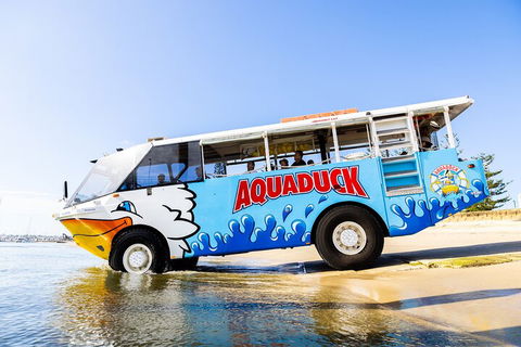 Aquaduck & Your Choice Of Gold Coast Rainforest Tour - Tourism Guide 3
