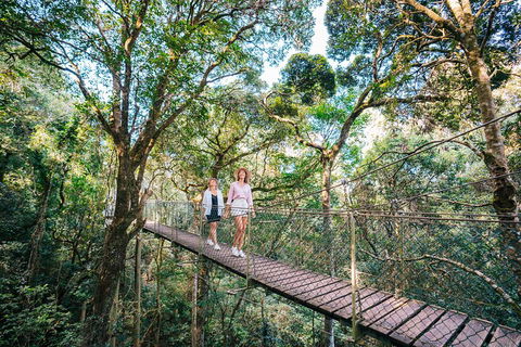 Aquaduck & Your Choice Of Gold Coast Rainforest Tour - Tourism Guide 4