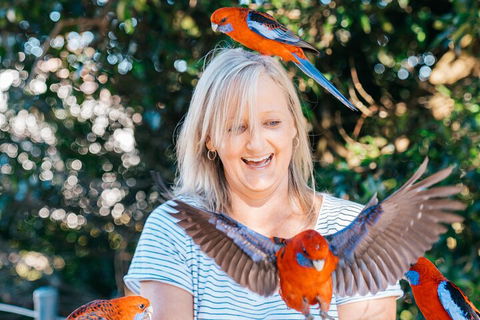 Aquaduck & Your Choice Of Gold Coast Rainforest Tour - Tourism Guide 5