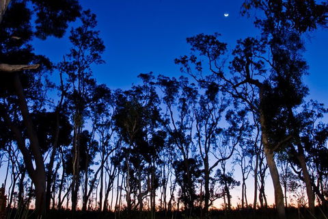 Small-Group Kangaroo Island 4WD Night Tour - Travel Agents 2