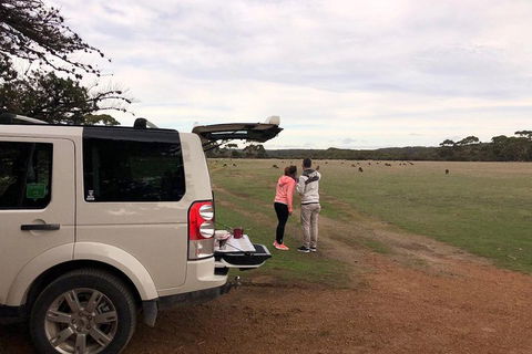 Kangaroo Island 4WD Tour - Flinders Chase - Tourism Guide 3