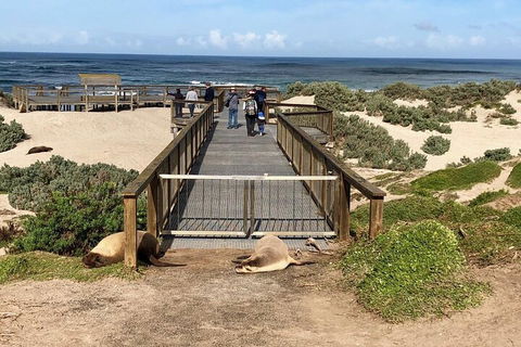 Kangaroo Island 4WD Tour - Best Of KI - Tourism Guide 2