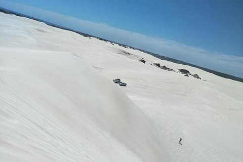 Yanchep & Lancelin - Wildlife, Cave And Sands - Tourism Guide 3