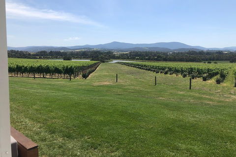 Yarra Valley, Dandenong Ranges Inc. Lunch With Wine,plus Morning Tea,chocolate - Cruises Travel 3