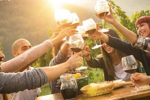 Yarra Valley, Dandenong Ranges Inc. Lunch With Wine,plus Morning Tea,chocolate - Cruises Travel 4