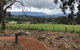 Yarra Valley Wine Tour Inc Lunch With A Glass Of Wine, Tastings And Chocolate - thumb 0