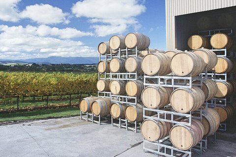 Yarra Valley Wine Tour Inc Lunch With A Glass Of Wine, Tastings And Chocolate - Tourism Guide 4