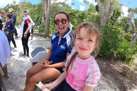 Whitehaven Beach Day Tour With Snorkel In Whitsundays Island - Tourism Guide 1