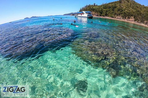 Whitehaven Beach Day Tour With Snorkel In Whitsundays Island - Tourism Guide 5