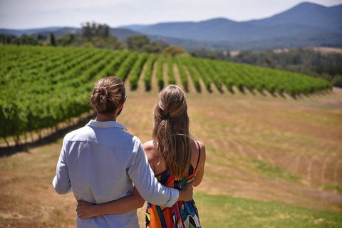 Yarra Valley Wine, Bubbles And Gin Tour! - Cruises Travel 4