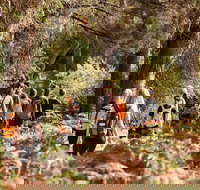 Half-Day Yanchep Ghost House Wilderness Guided Hike Tour - Tourism Guide