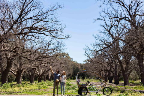 Adelaide 90-Minute Pedicab Tour: Scenic Green & River Experience - Tourism Guide 1