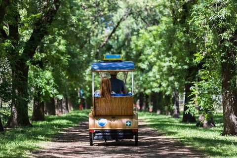 Adelaide 90-Minute Pedicab Tour: Scenic Green & River Experience - Tourism Guide 2