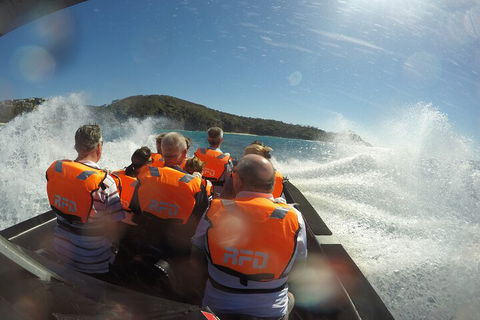 Noosa Thriller - 500hp Ocean Adventure Ride - Tourism Guide 3