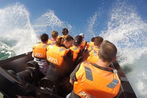 Noosa Thriller - 500hp Ocean Adventure Ride - Tourism Guide 4
