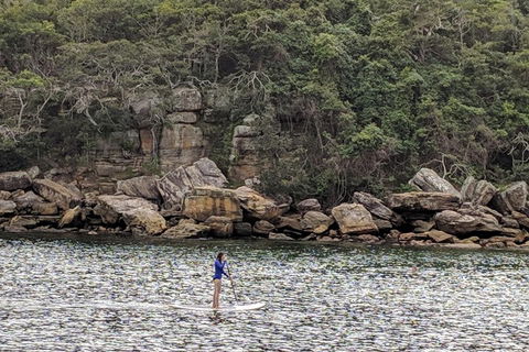 Manly & Sydney's Northern Beaches With 'Personalised Sydney Tours' - Tourism Guide 3