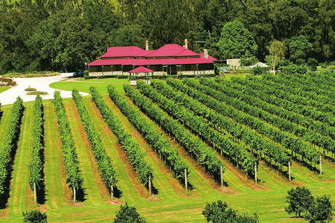 O'Reilly's & Lamington National Park From Brisbane - Travel Agents 2