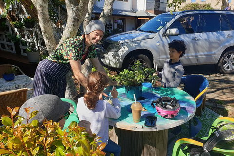 O'Reilly's & Lamington National Park From Brisbane - Travel Agents 3