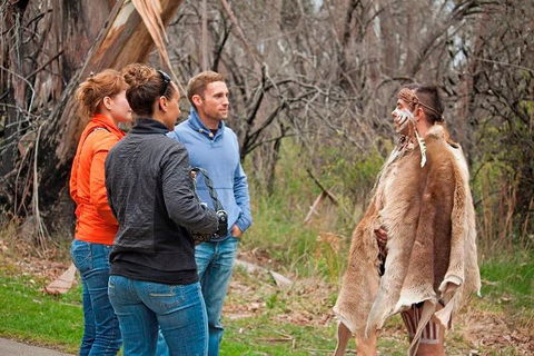 Blue Mountains Tour From Sydney With An Aboriginal Experience - Cruises Travel 3