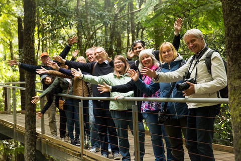 All Inclusive Blue Mountains Small-Group Day Trip From Sydney - Tourism Guide 5