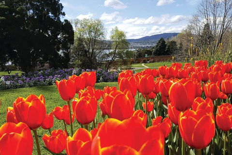 Hobart Half-Day Sightseeing Coach Tram Tour - Cruises Travel 4