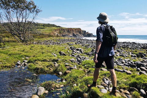 Half Day Guided Small Group Walk - Travel Search 0