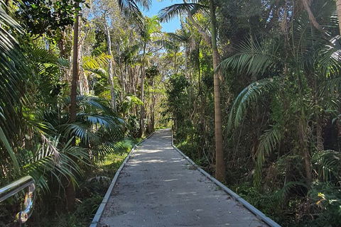 Half Day Guided Small Group Walk - Travel Search 3