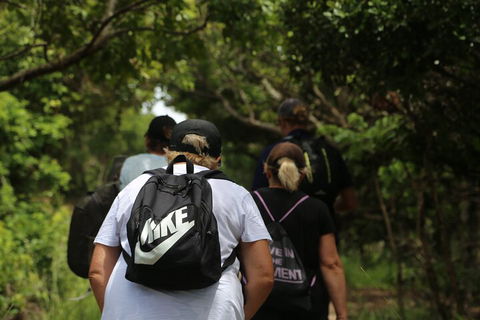 Half Day Guided Small Group Walk - Travel Search 4