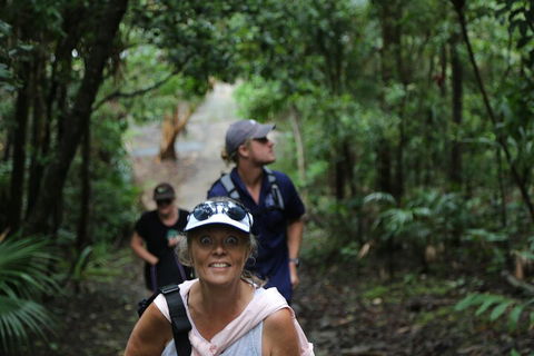 Half Day Guided Small Group Walk - Travel Search 5