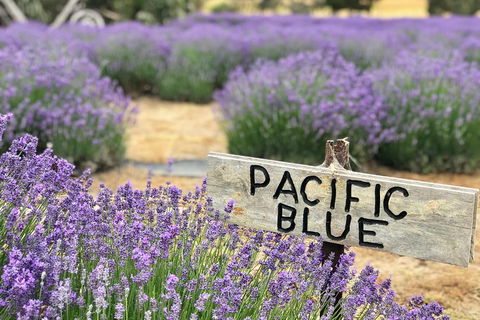 Kangaroo Island Food And Wine Trail Tour - Tourism Guide 0