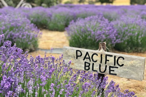 Kangaroo Island Half Day Food And Wine Trail Tour - Tourism Guide 5