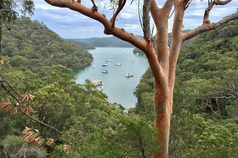 Shore Excursion: Sydney's Northern Beaches & Ku-ring-gai National Park Bus Tour - Tourism Guide 1