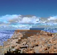 4 Day Tour Albany Margaret River Valley of the Giants TreeTop Walk from Perth - Tourism Guide