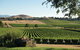 Small Group 6 Guests: Ultimate Yarra Valley Food And Wine - Mercedes Van - thumb 4