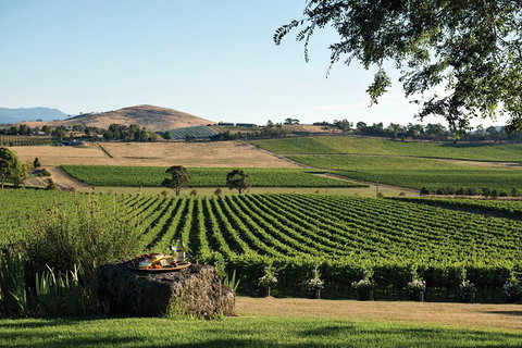 Small Group 6 Guests: Ultimate Yarra Valley Food And Wine - Mercedes Van - Tourism Guide 4