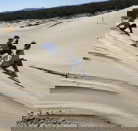 Port Stephens Bush Beach and Sand Dune 4WD Tag-Along Tour - Tourism Guide