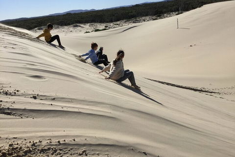 Port Stephens Bush, Beach And Sand Dune 4WD Tag-Along Tour - Travel Agents 0