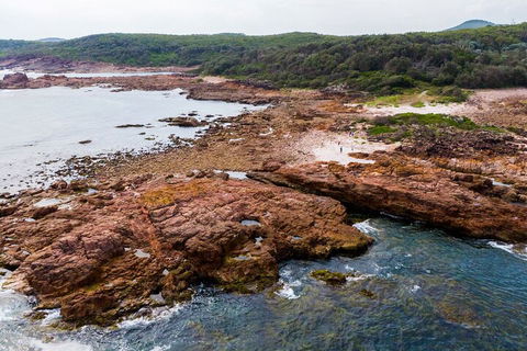 Port Stephens Bush, Beach And Sand Dune 4WD Tag-Along Tour - Travel Agents 4