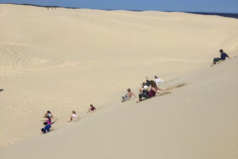Port Stephens Bush, Beach And Sand Dune 4WD Passenger Tour - Travel Agents 4