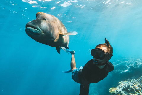 Great Barrier Reef Day Cruise To Reefworld - Travel Search 3