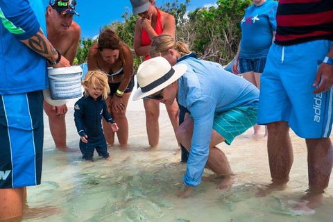 Whitehaven Beach And Hamilton Island Cruise - Tourism Guide 1