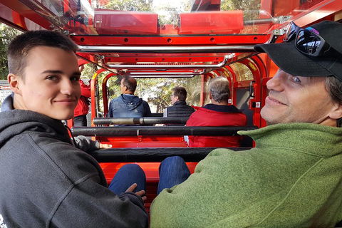 Fully Inclusive Blue Mountains Private Tour Inc Scenic World & Featherdale Entry - Travel Search 1