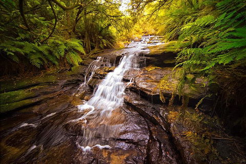 Fully Inclusive Blue Mountains Private Tour Inc Scenic World & Featherdale Entry - Travel Search 3